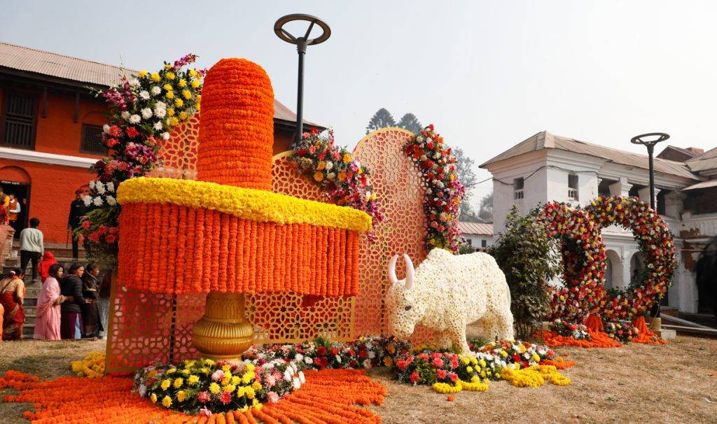 pasupati nath (4).jpg