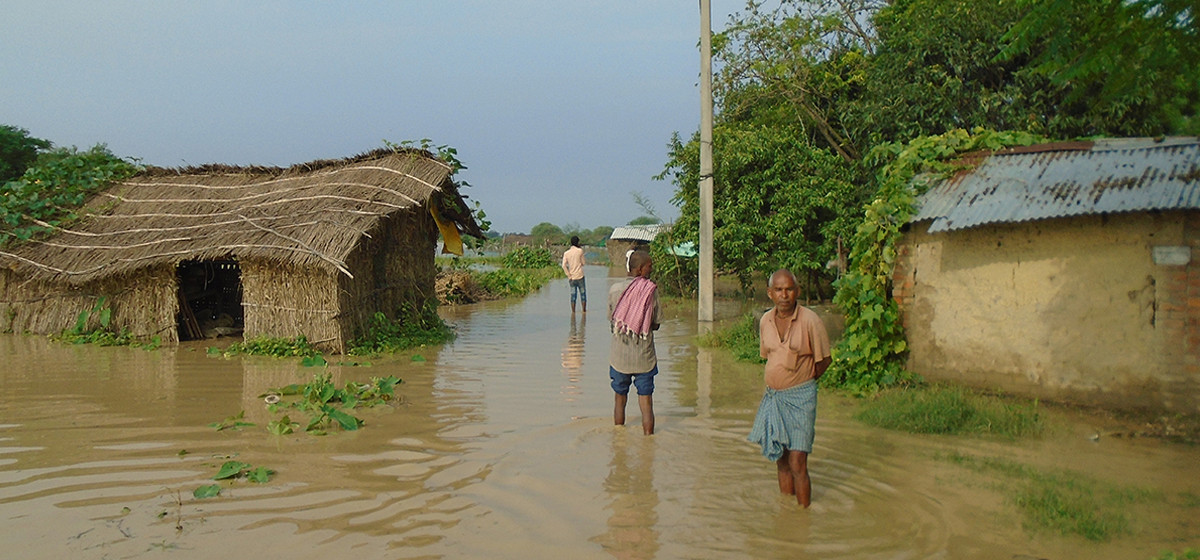 1724475106_badhi-1200x560.jpg
