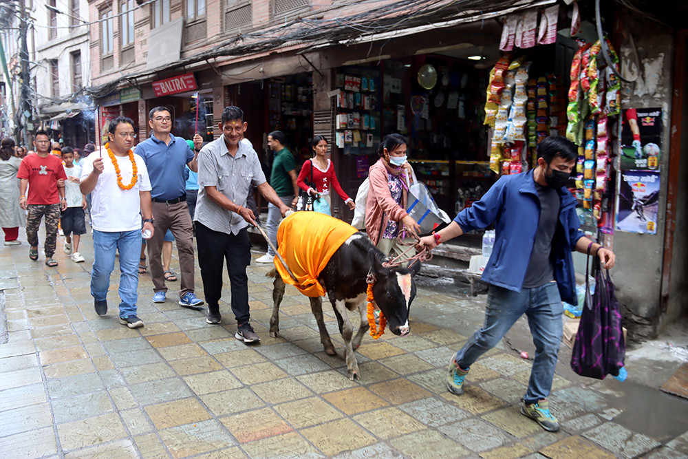 Gaijatra_h52yRLrR5k.jpg